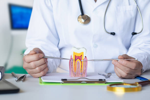 Urgent Tooth Repair in MT